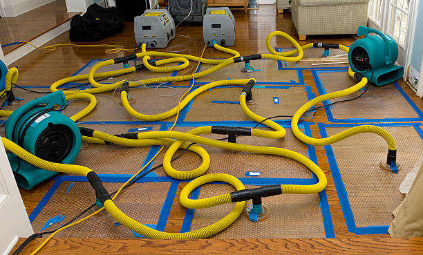 Professional Storm Water Damage Restoration technician working in Roy, UT
